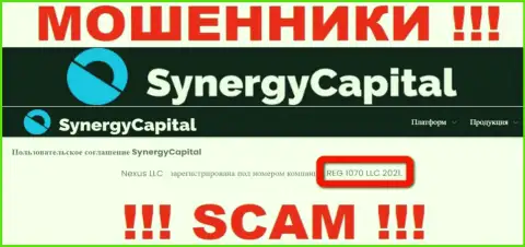 Регистрационный номер организации SynergyCapital Cc - REG 1070 LLC 2021