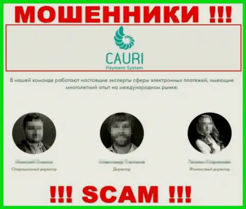 Инфа о прямых руководителях Cauri, по всей видимости ложная