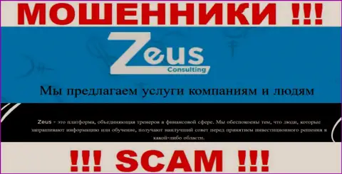 Тип деятельности мошенников Зеус Консалтинг - это Консалтинг, однако знайте это обман !