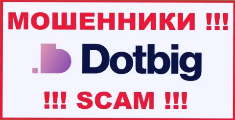 DotBig Com - это РАЗВОДИЛЫ !!! SCAM !!!