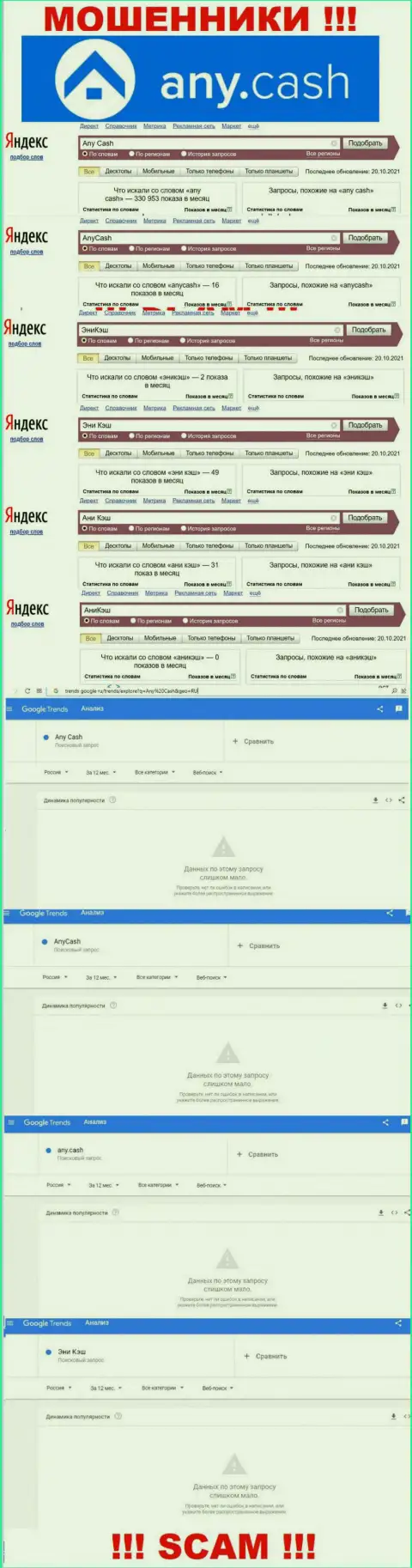 Данные сведения показывают, сколько именно людей интересовались мошенниками Any Cash