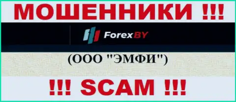 Вот кто управляет организацией Forex BY - это ООО ЭМФИ