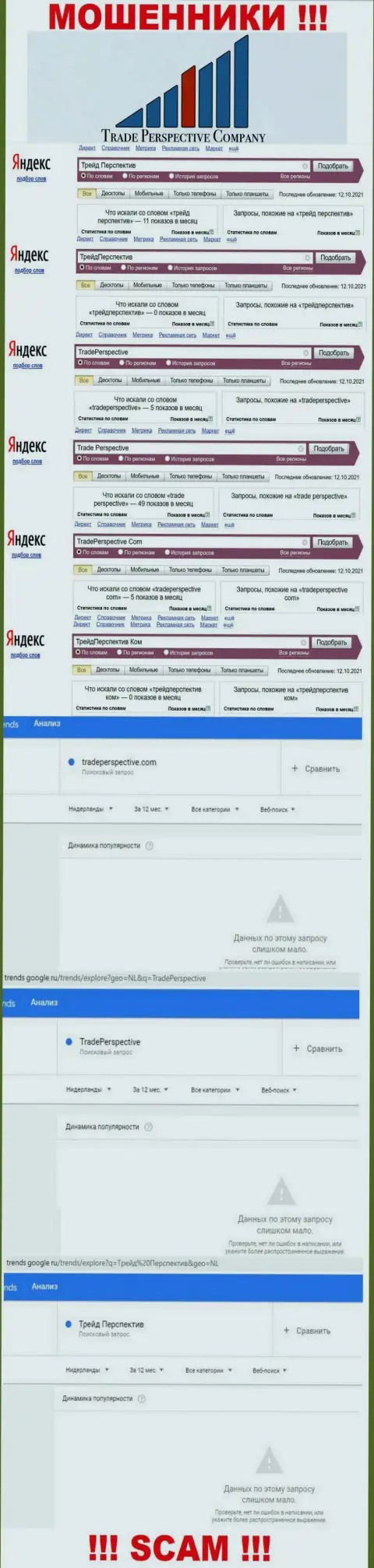 Инфа о брендовых онлайн-запросах касательно мошенников Trade Perspective