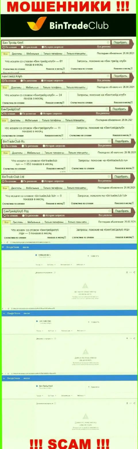 Статистика internet-запросов в поисковиках относительно мошенников BinTradeClub