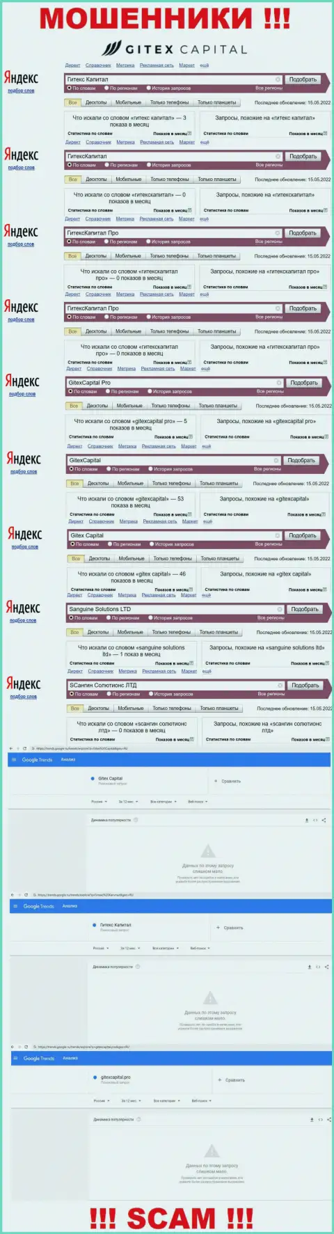 Статистика брендовых online-запросов по жульнической компании ГитексКапитал Про