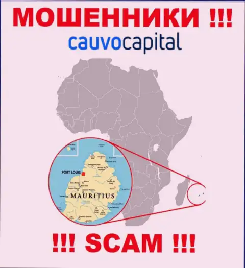 Компания CauvoCapital Com присваивает вклады наивных людей, расположившись в офшоре - Mauritius