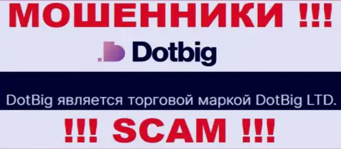 Dot Big - юридическое лицо ворюг компания DotBig LTD