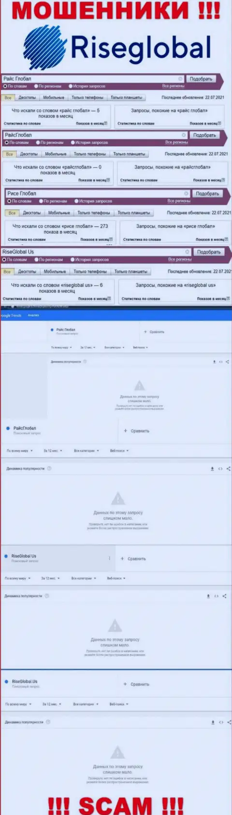 Инфа о online запросах по бренду internet воров Rise Global