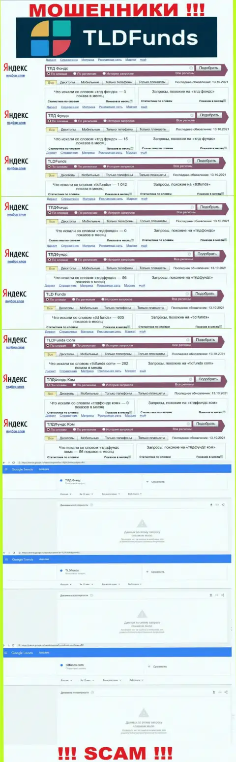 Подробный анализ internet-запросов по мошеннической компании TLD Funds