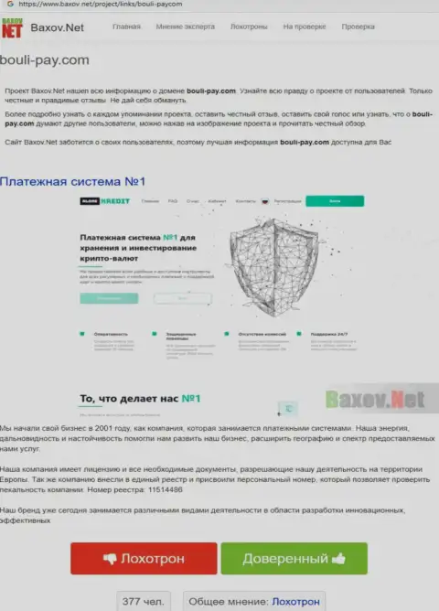 Детальный обзор афер Bouli Pay, отзывы клиентов и факты махинаций