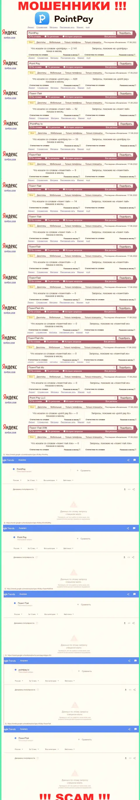 Статистические сведения поисковых запросов по мошенникам Поинт Пей в глобальной интернет сети