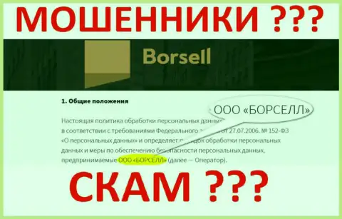 Borsell LLC - это организация, владеющая интернет аферистами Борселл Ру