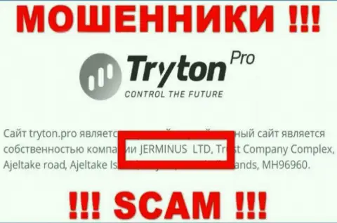 Информация о юридическом лице Тритон Про - им является организация Jerminus LTD