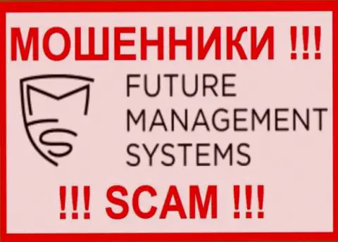 Логотип ШУЛЕРОВ Future Management Systems