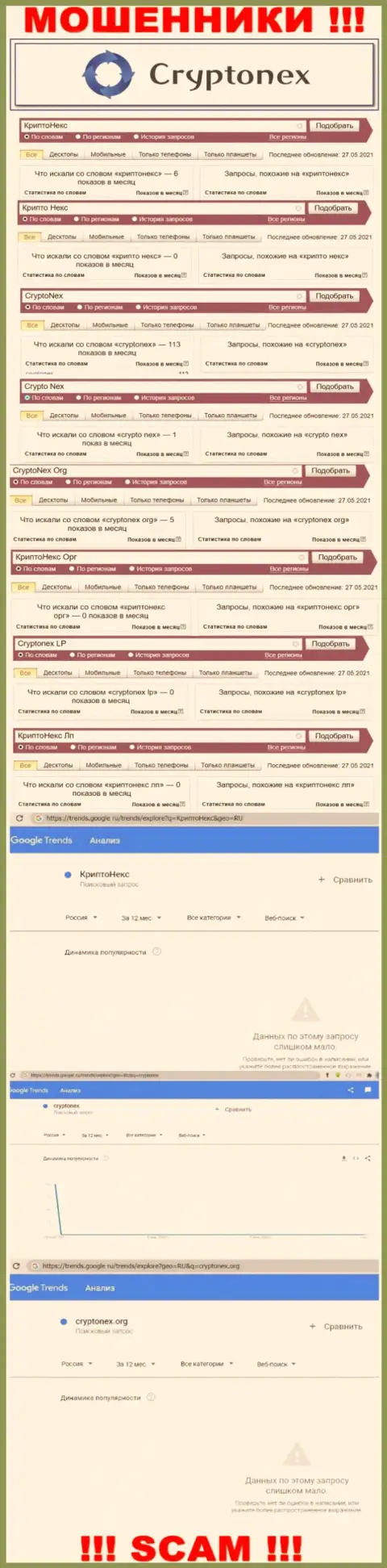 Статистика поисковых запросов по бренду CryptoNex