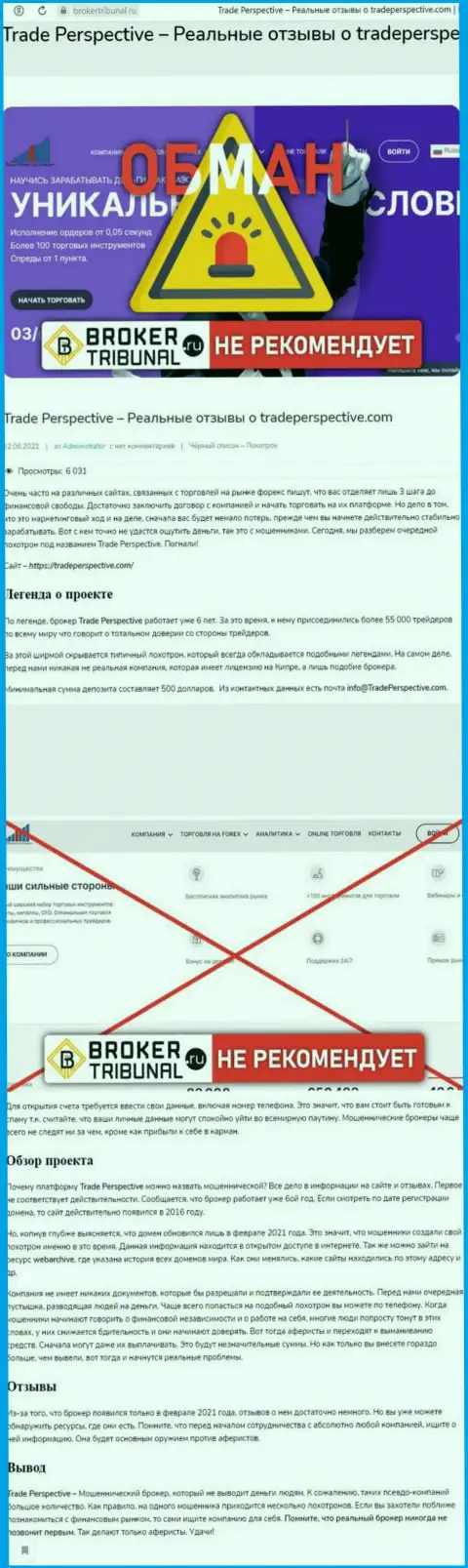 ТрейдПерспектив - это МОШЕННИК !!! Анализ условий взаимодействия