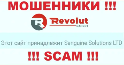 Данные об юридическом лице internet мошенников Револют Эксперт