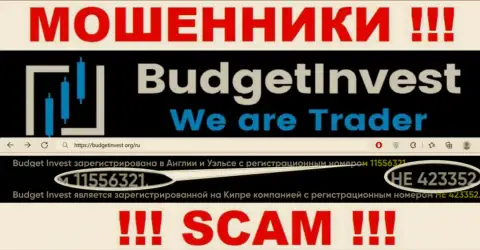 Регистрационный номер компании Budget Invest - 11556321