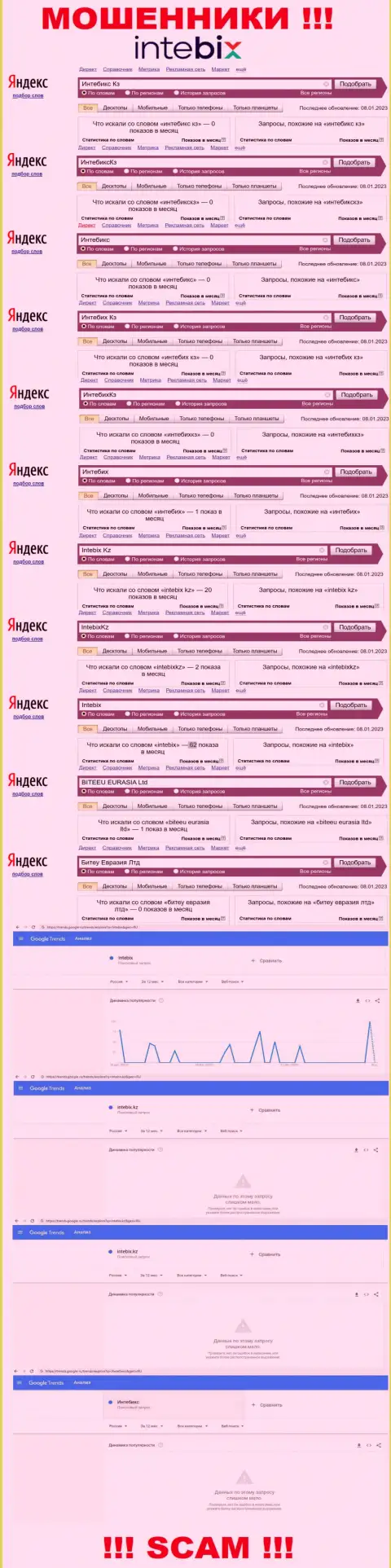 Статистика бренда Intebix, какое именно количество online-запросов у данной конторы