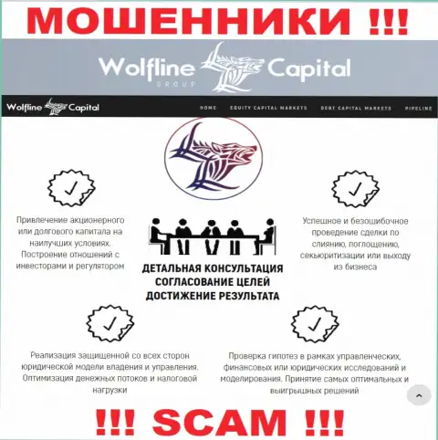 Не стоит верить, что сфера работы WolflineCapital - Финансовый консалтинг легальна - это развод