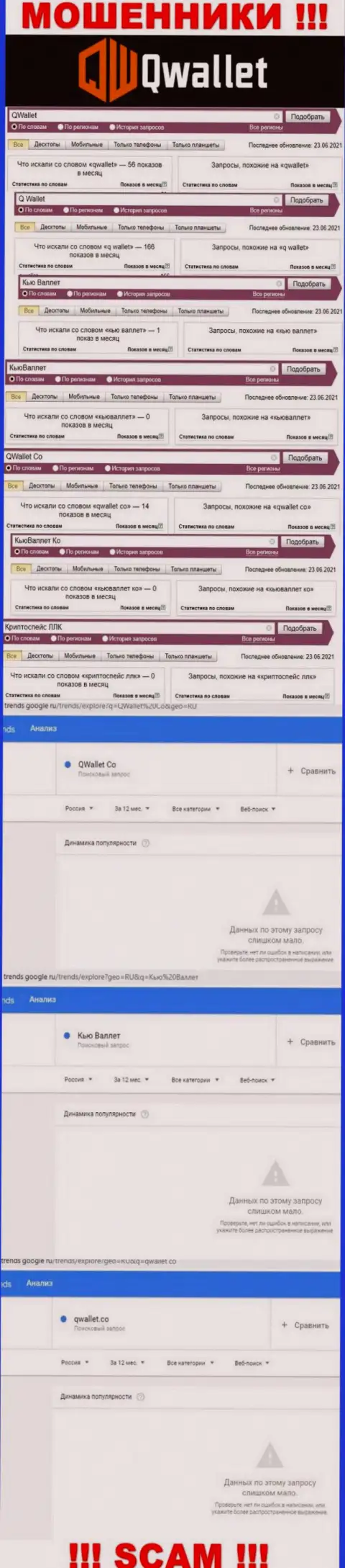 Статистические данные онлайн запросов по бренду Q Wallet в глобальной интернет сети