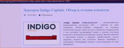 Обзор Indigo Capitals, реальные факты одурачивания