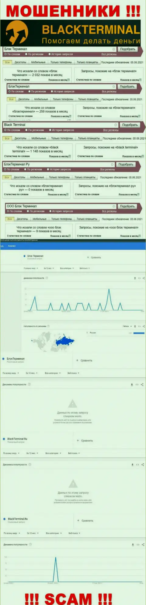 Количество онлайн запросов сведений о обманщиках Блэк Терминал во всемирной сети internet