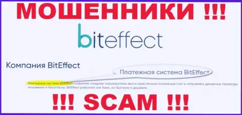 Осторожно, направление деятельности Bit Effect, Платежная система - это надувательство !