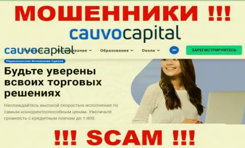 Broker - именно в этом направлении предоставляют свои услуги разводилы CauvoCapital