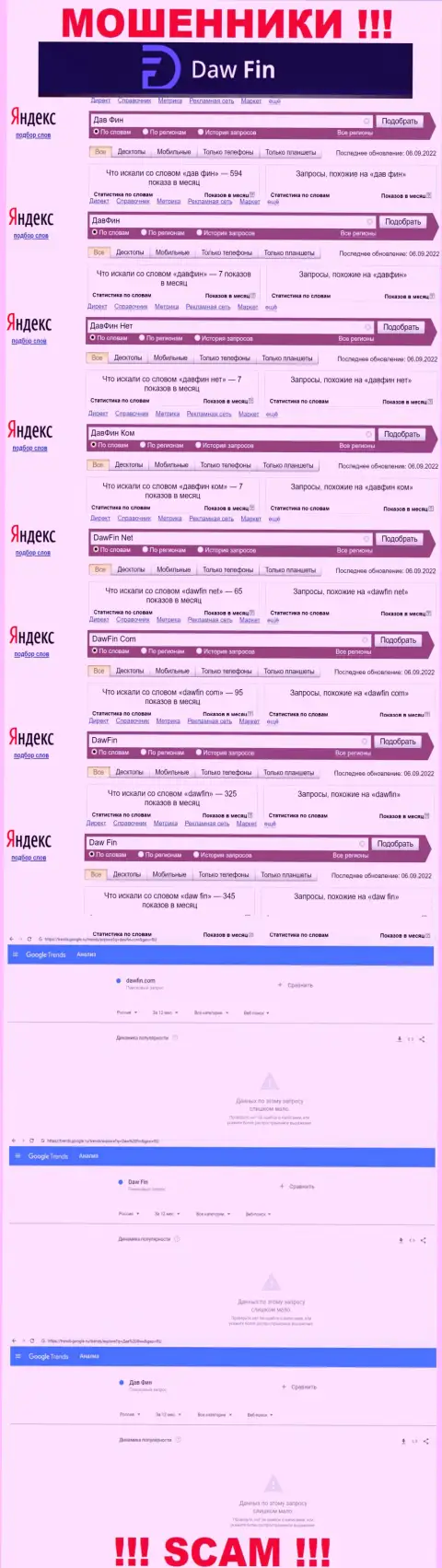 Статистические данные поисковых запросов по бренду DawFin во всемирной интернет паутине