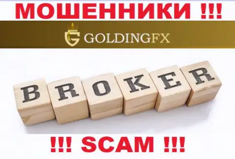 Брокер - это именно то, чем занимаются интернет-воры Goldingfx InvestLIMITED