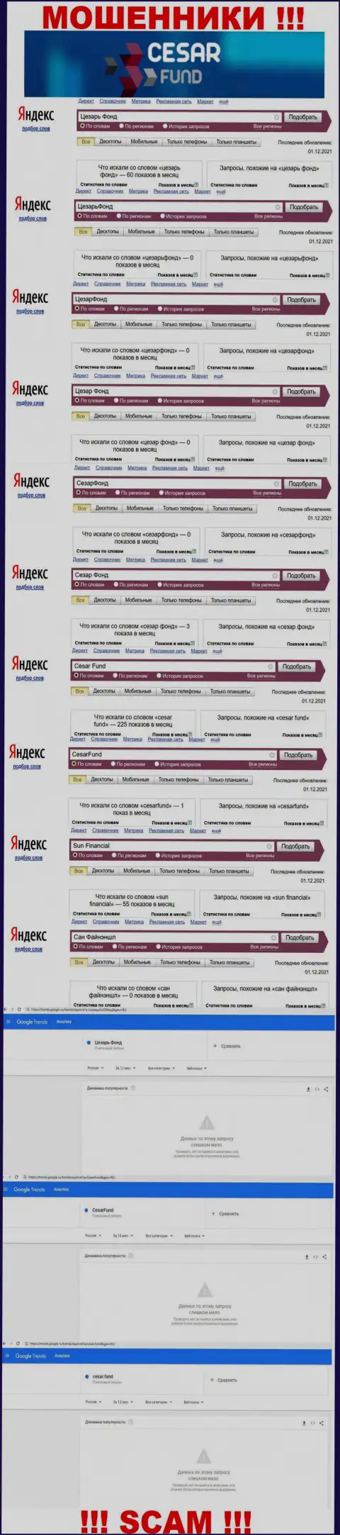 Статистические показатели количества поисковых запросов в интернет сети по кидалам CesarFund