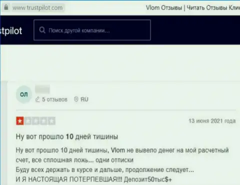 Негативный отзыв о конторе Vlom - это наглые internet ворюги