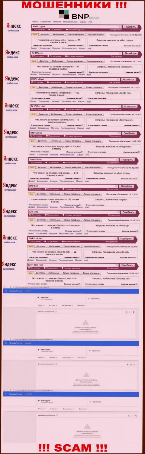 Статистика по бренду BNP-Ltd Net, сколько людей заинтересовались указанными internet-разводилами