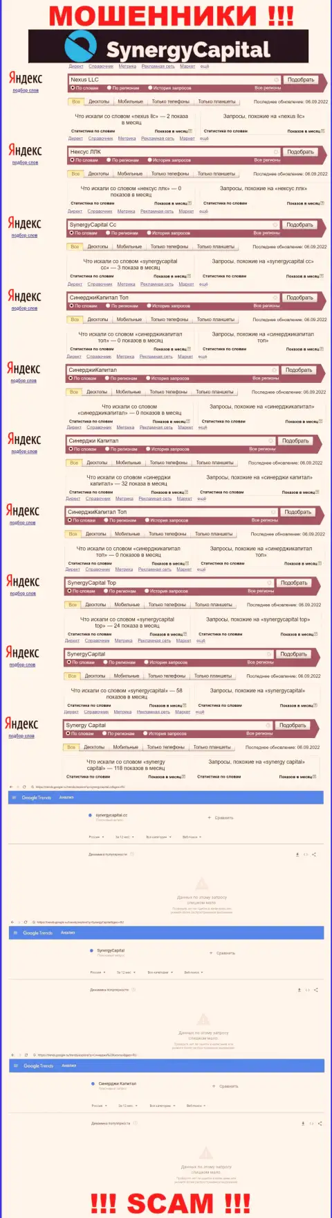 Статистические данные онлайн запросов по бренду SynergyCapital в инете