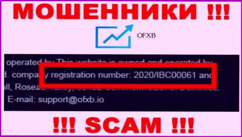 Рег. номер, который принадлежит компании OFXB Io - 2020/IBC00061