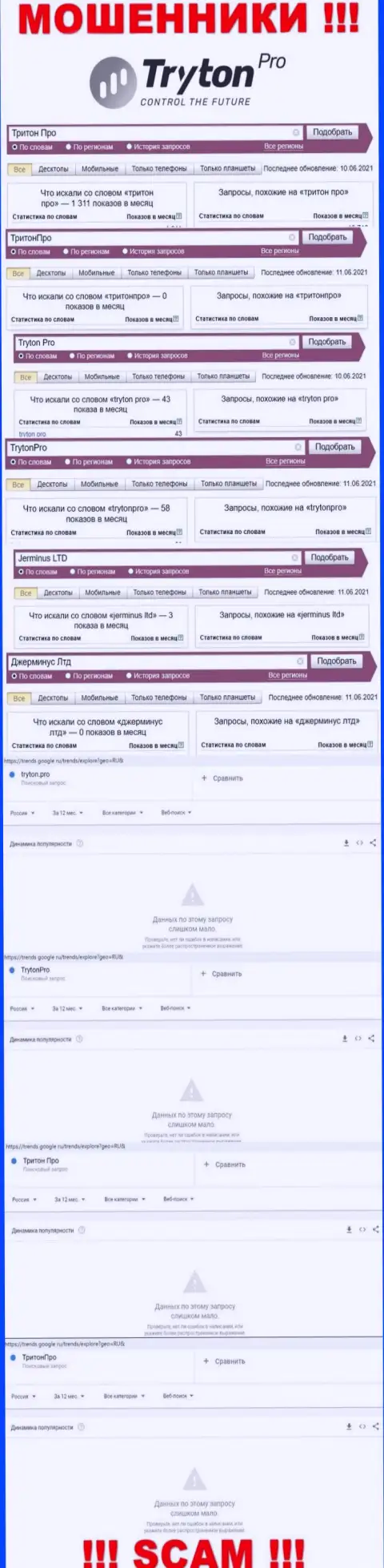 Статистические данные бренда Tryton Pro, какое число онлайн-запросов у указанной компании