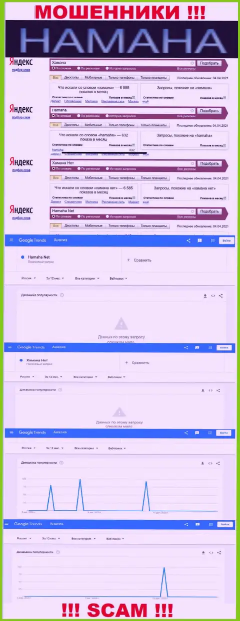 Онлайн запросы по бренду мошенников Хамана в поисковиках всемирной сети internet