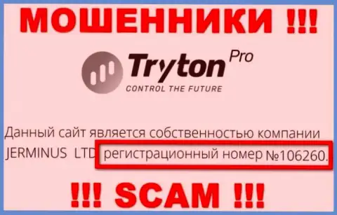 Регистрационный номер компании Тритон Про, скорее всего, что ненастоящий - 106260