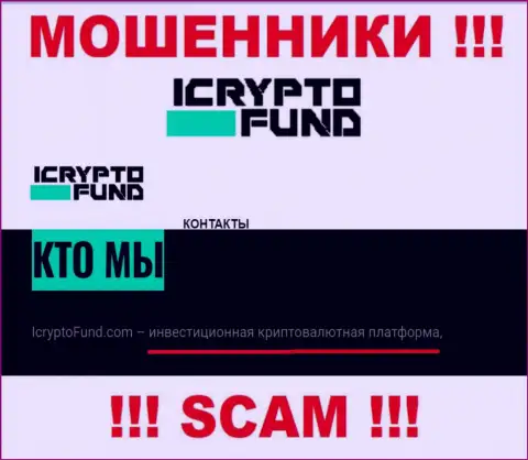 Инвестиции - именно в таком направлении оказывают свои услуги internet шулера I Crypto Fund