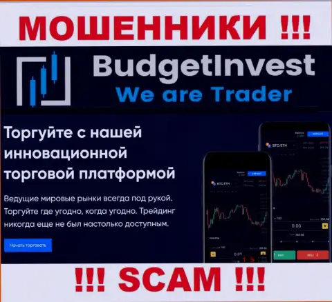 Budget Invest говорят своим клиентам, что оказывают свои услуги в области Брокер