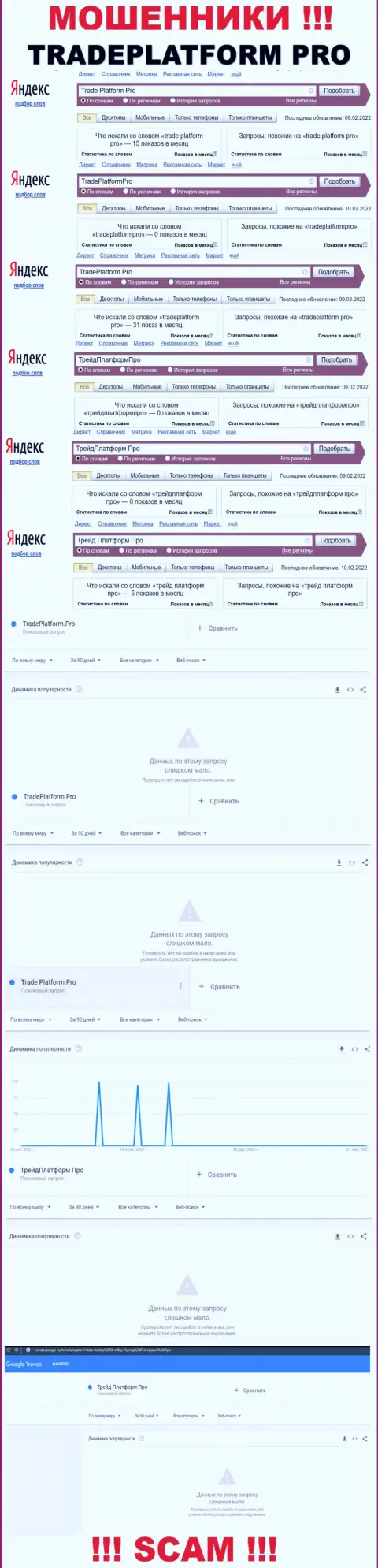 Суммарное число запросов в поисковых системах по бренду обманщиков Trade Platform Pro