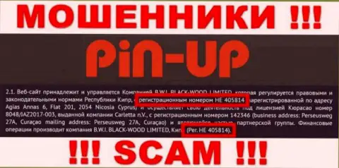 Номер регистрации шулеров сети интернет компании Пин-Ап Казино - HE 405814