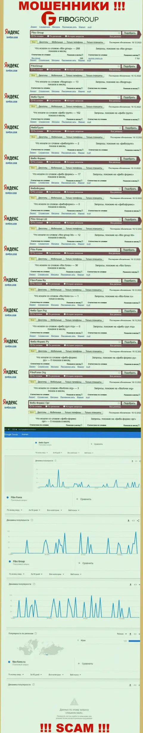 Статистика поисков данных об internet ворах Fibo Group