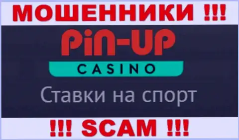 Основная работа ПинАп Казино - это Casino, осторожно, прокручивают делишки противозаконно