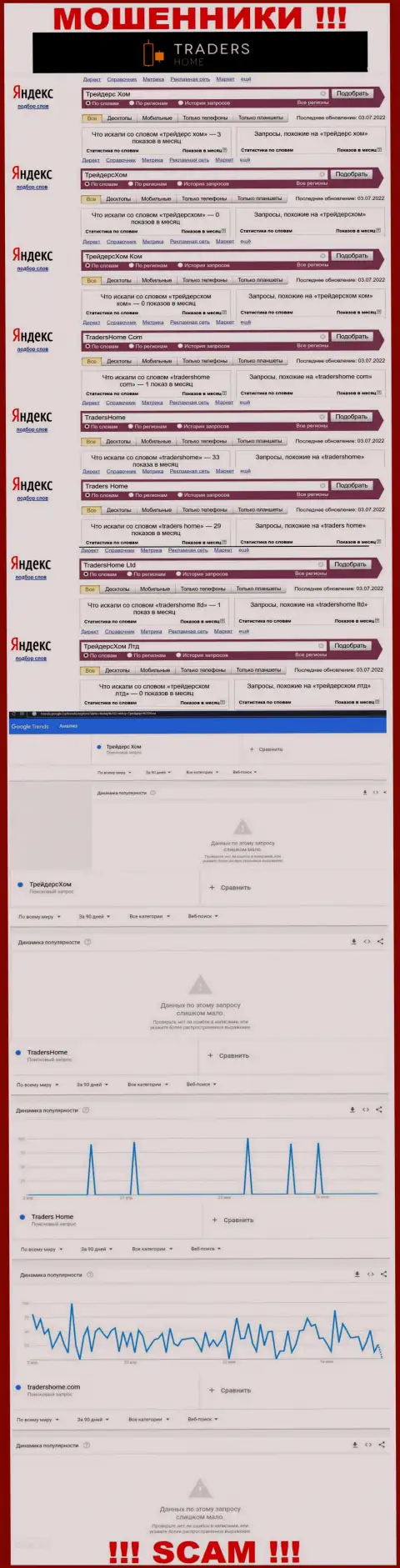 Как часто интересовались мошенниками TradersHome в поисковиках всемирной сети ?