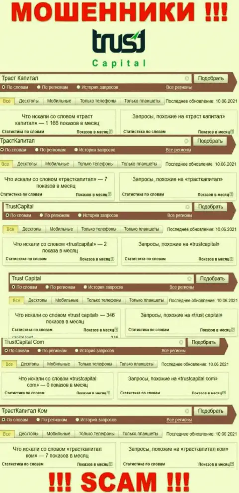 Статистические данные online запросов по мошенникам Trust Capital в поисковиках всемирной интернет паутины