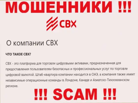 Тип деятельности CBX: Крипто трейдинг - хороший доход для интернет воров