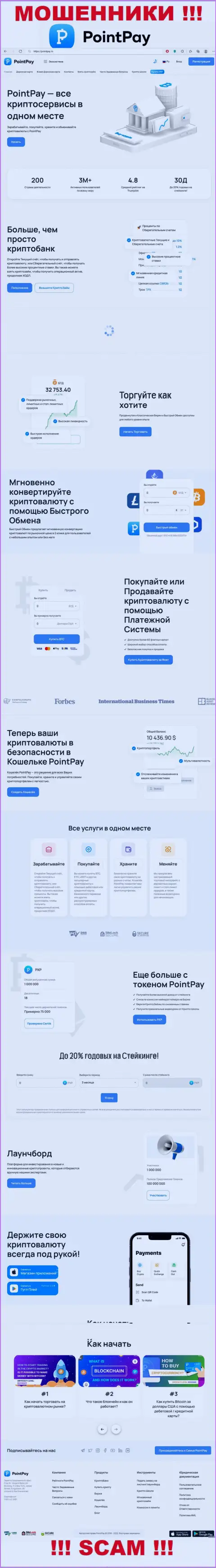 Скрин официального сайта Point Pay LLC, заполненного фальшивыми условиями