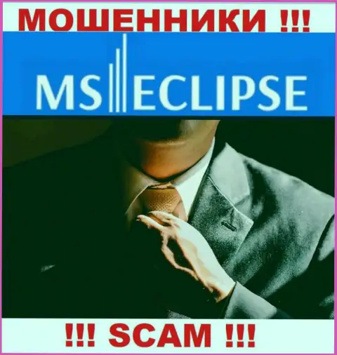 Сведений о лицах, руководящих MSEclipse во всемирной сети internet найти не представляется возможным